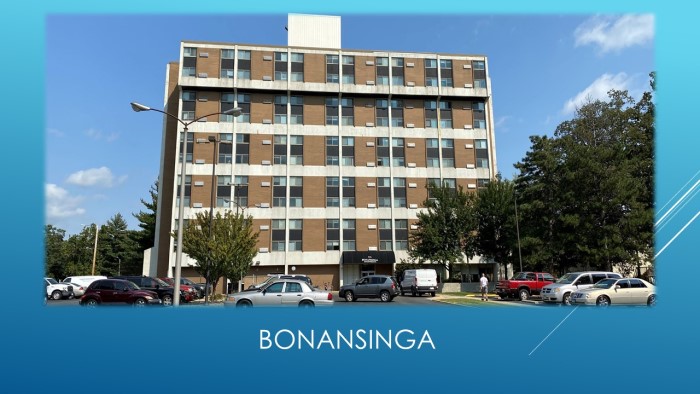 Image of Bonansinga
